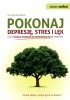 Pokonaj depresję stres i lęk
